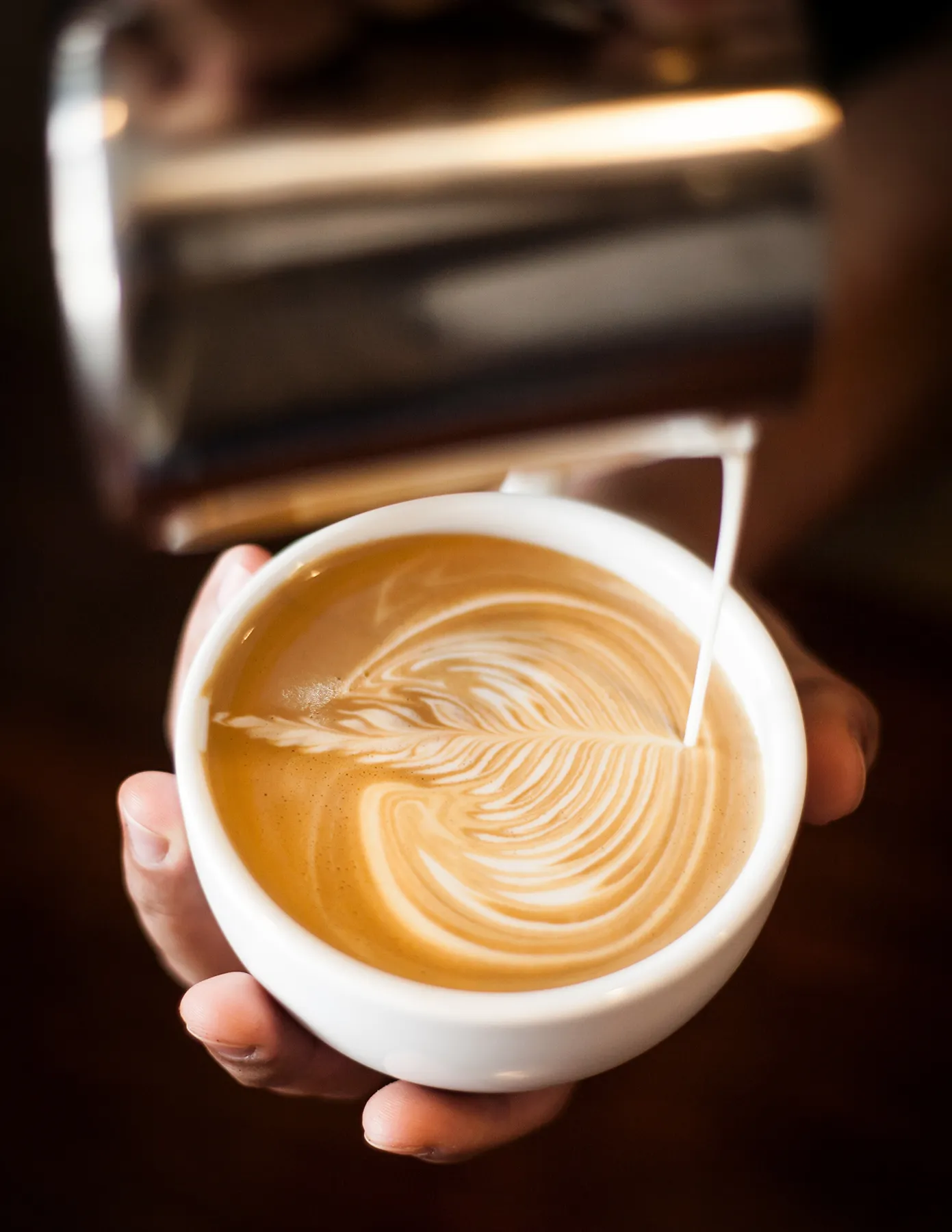 barista-hands-pouring-latte-art-leaf-pattern-close-up-hmg-plus. Close-up of a barista's hands pouring steamed milk into a latte, creating a detailed leaf pattern on the surface.